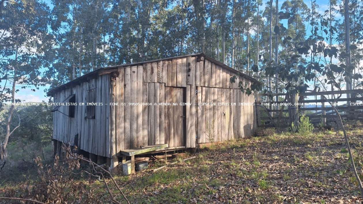 Sítio, 2 quartos, 10 hectares - Foto 3