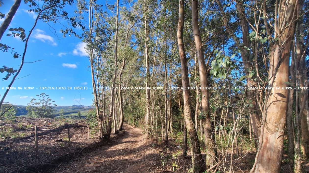 Sítio, 2 quartos, 10 hectares - Foto 5