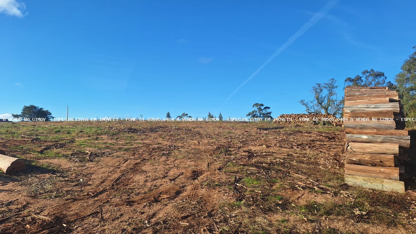 Sítio, 2 quartos, 10 hectares - Foto 6