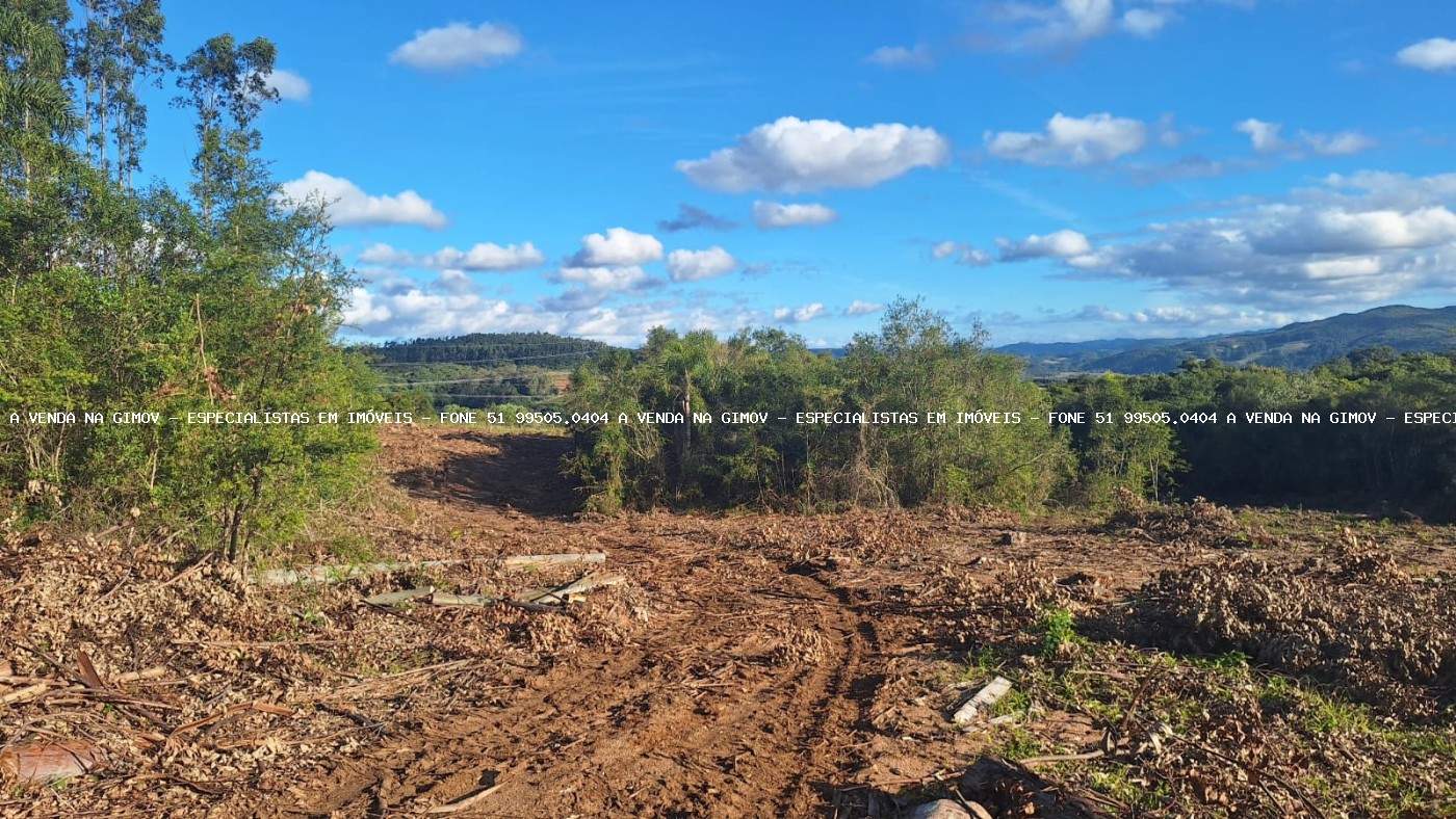 Sítio, 2 quartos, 10 hectares - Foto 7