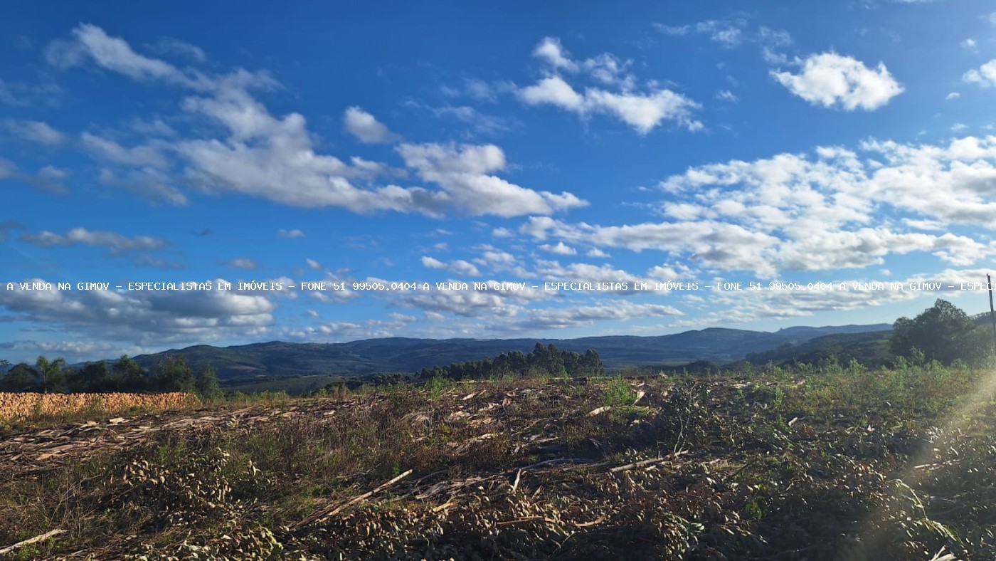 Sítio, 2 quartos, 10 hectares - Foto 8