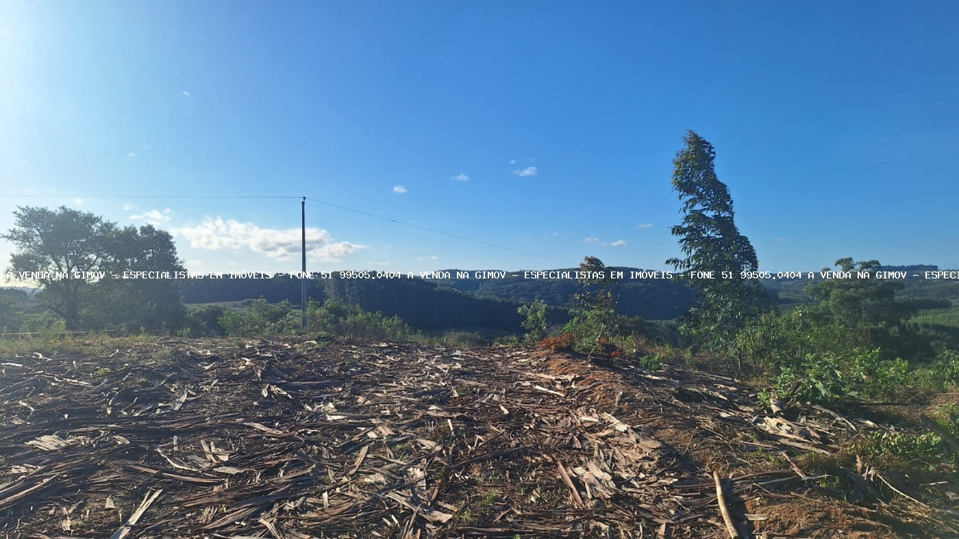 Sítio, 2 quartos, 10 hectares - Foto 10