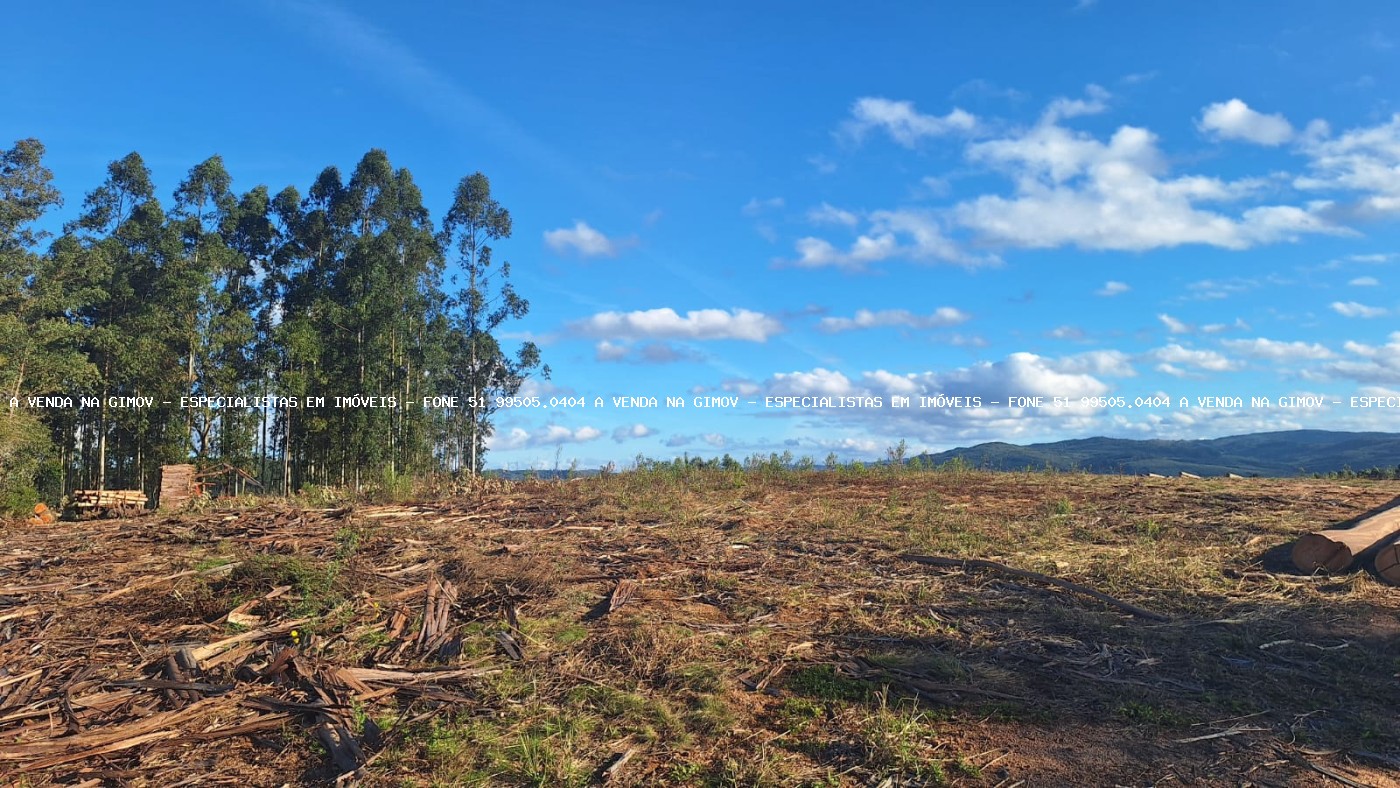 Sítio, 2 quartos, 10 hectares - Foto 11