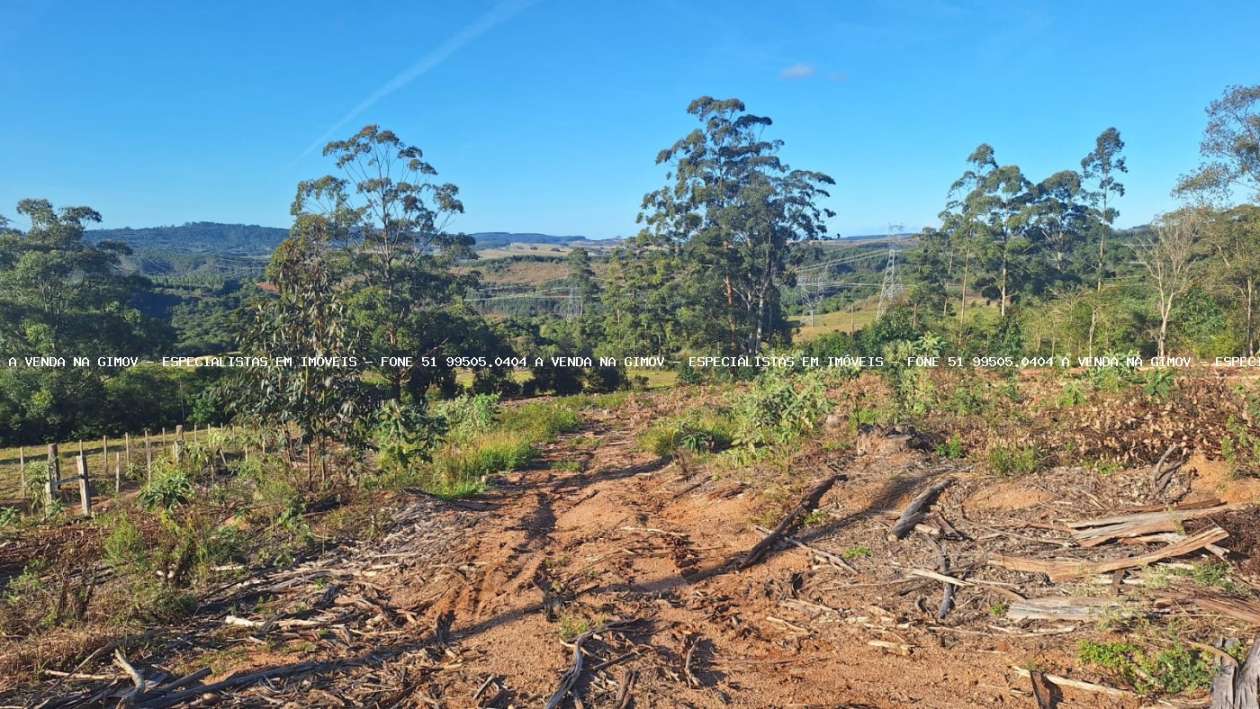 Sítio, 2 quartos, 10 hectares - Foto 12