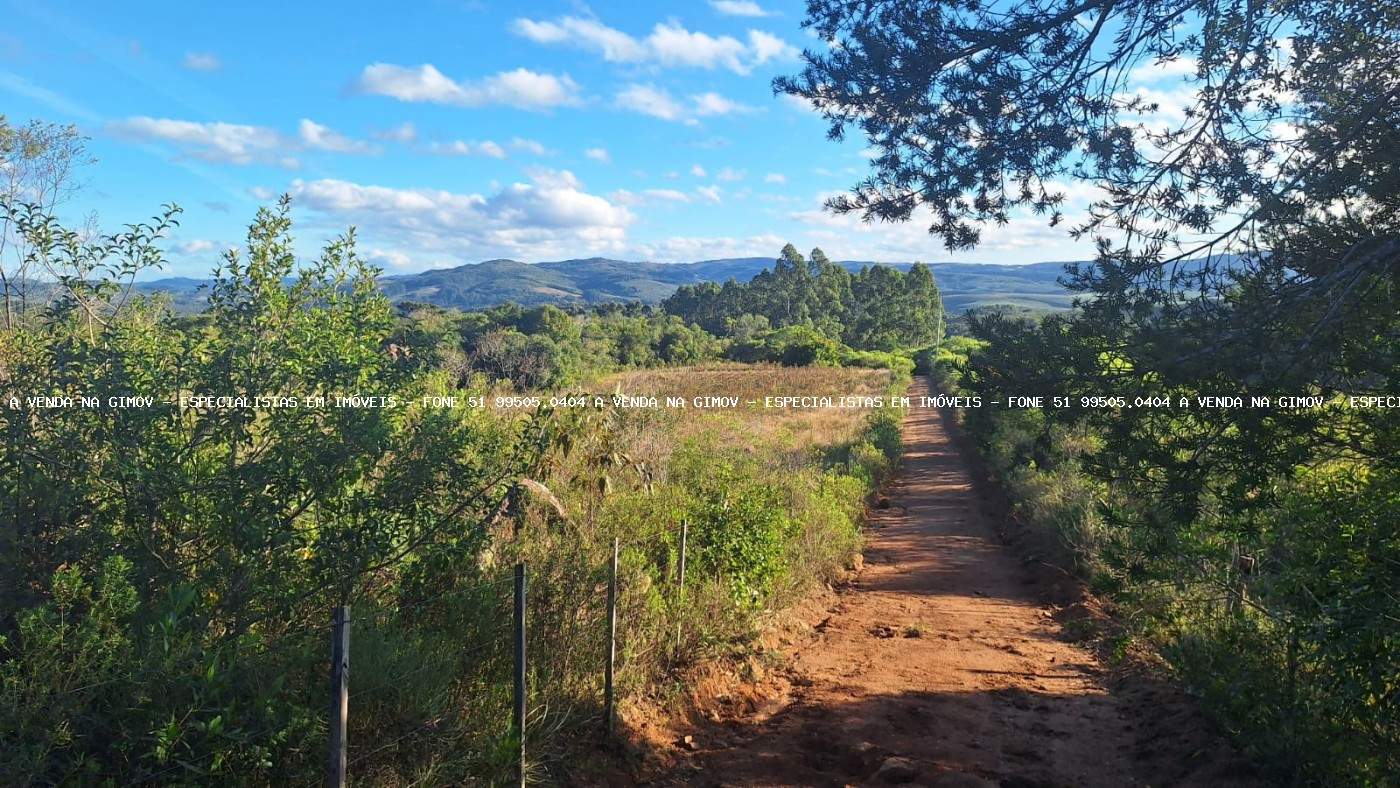 Sítio, 2 quartos, 10 hectares - Foto 13