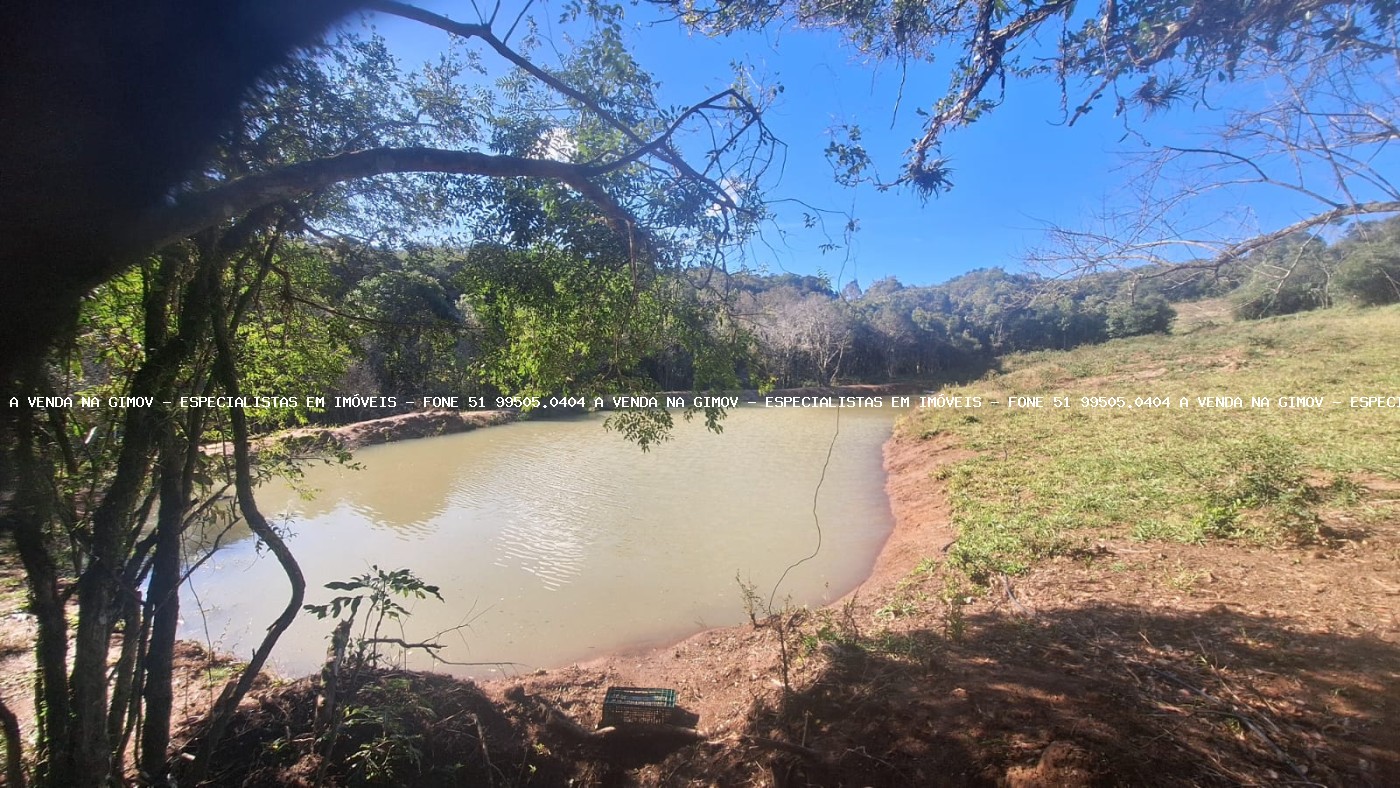 Sítio, 4 quartos, 5 hectares - Foto 21