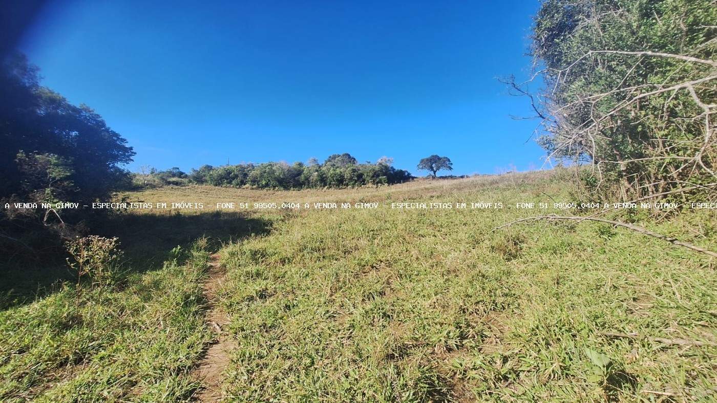 Sítio, 4 quartos, 5 hectares - Foto 27