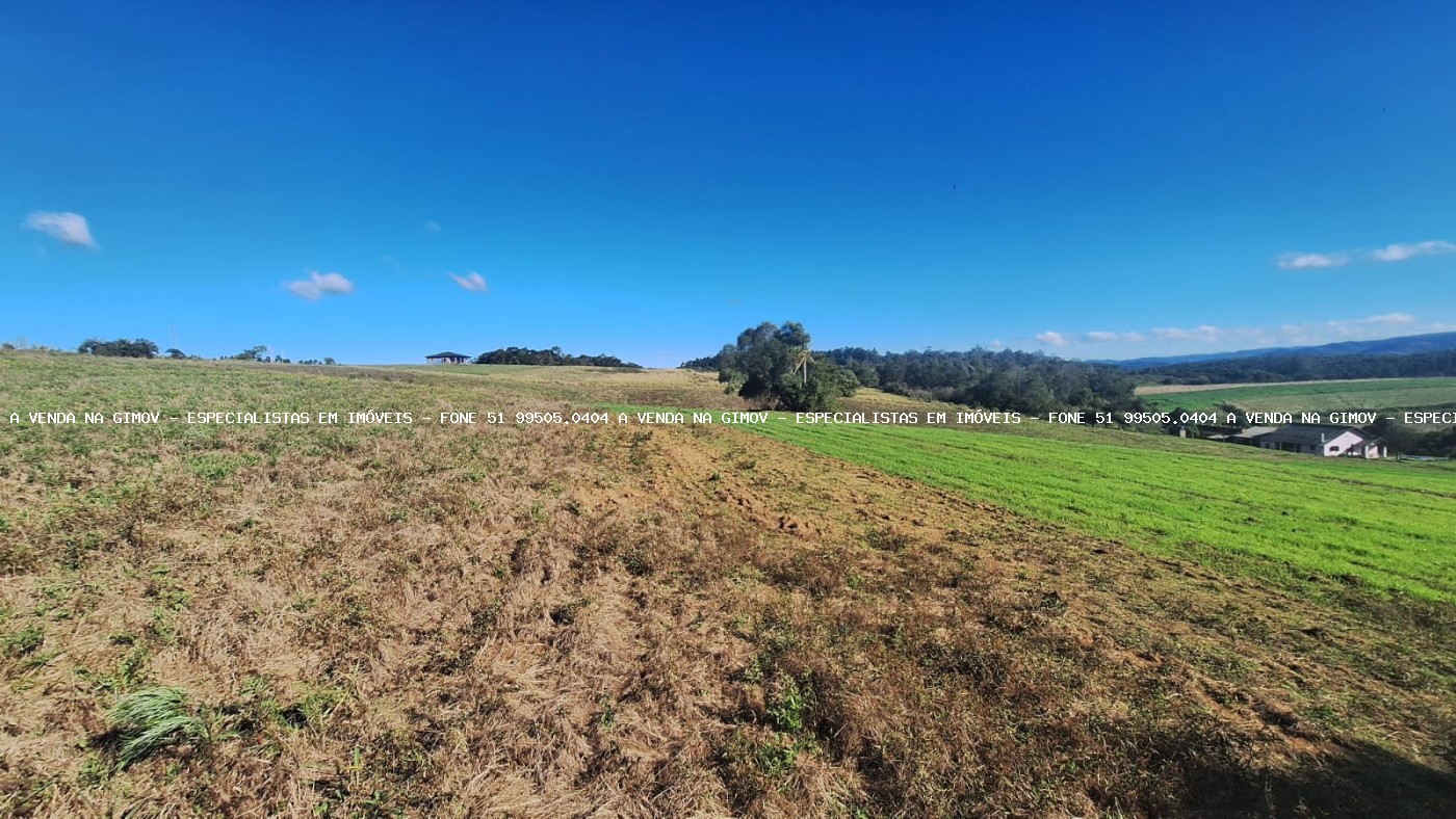 Sítio, 4 quartos, 5 hectares - Foto 28