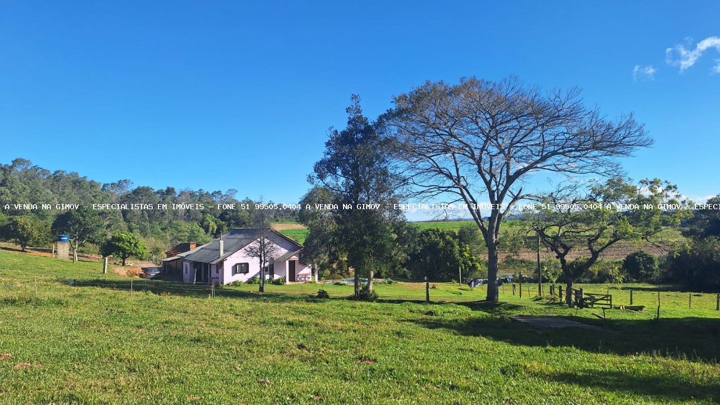 Sítio, 4 quartos, 5 hectares - Foto 7