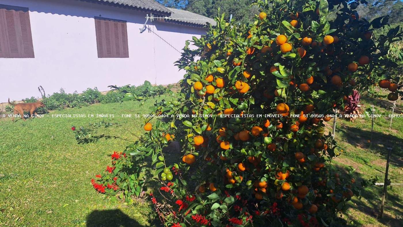 Sítio, 4 quartos, 5 hectares - Foto 29