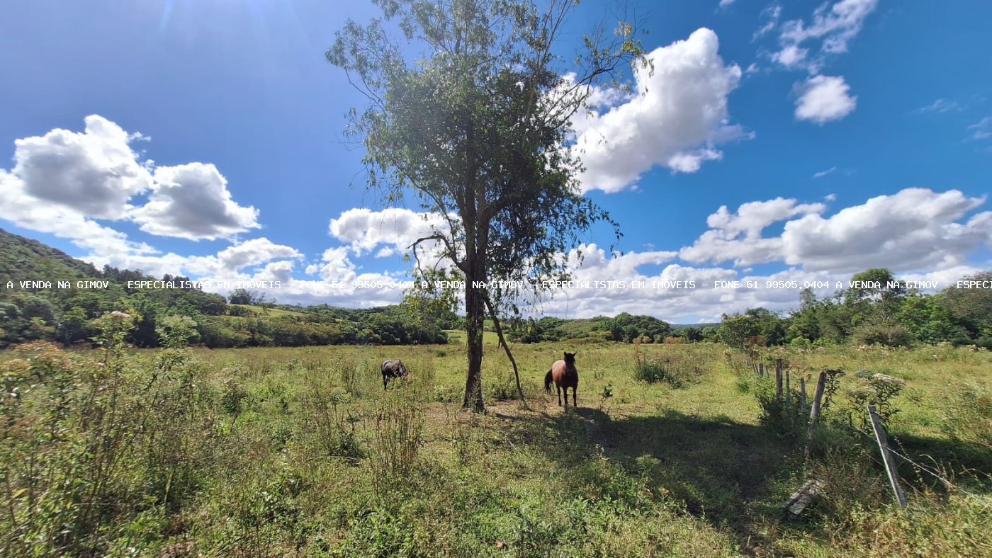 Loteamento e Condomínio, 38 hectares - Foto 7