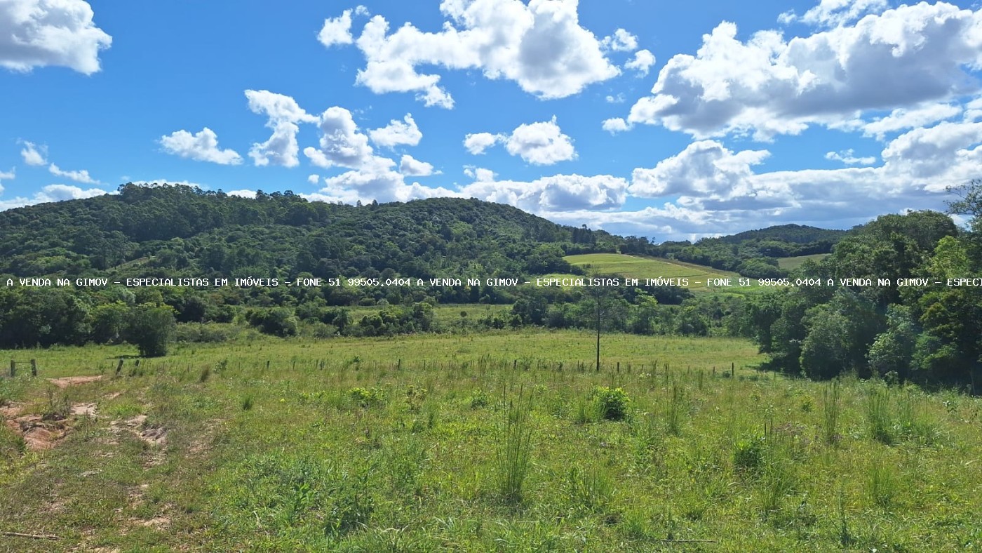 Loteamento e Condomínio, 38 hectares - Foto 11