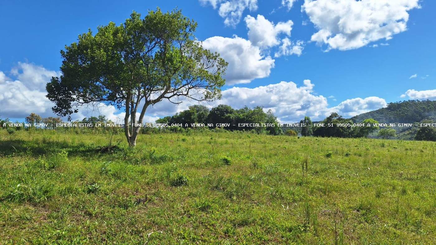 Loteamento e Condomínio, 38 hectares - Foto 14