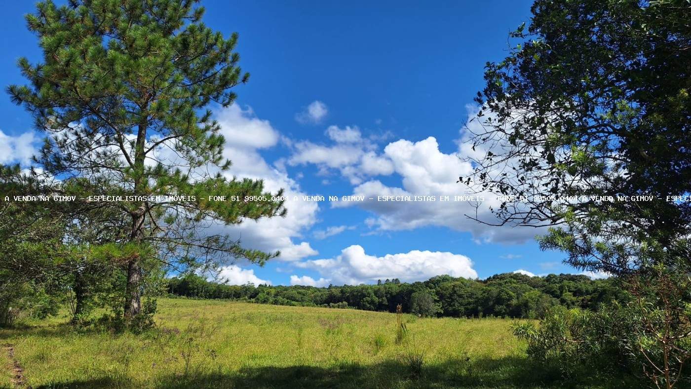 Loteamento e Condomínio, 38 hectares - Foto 19