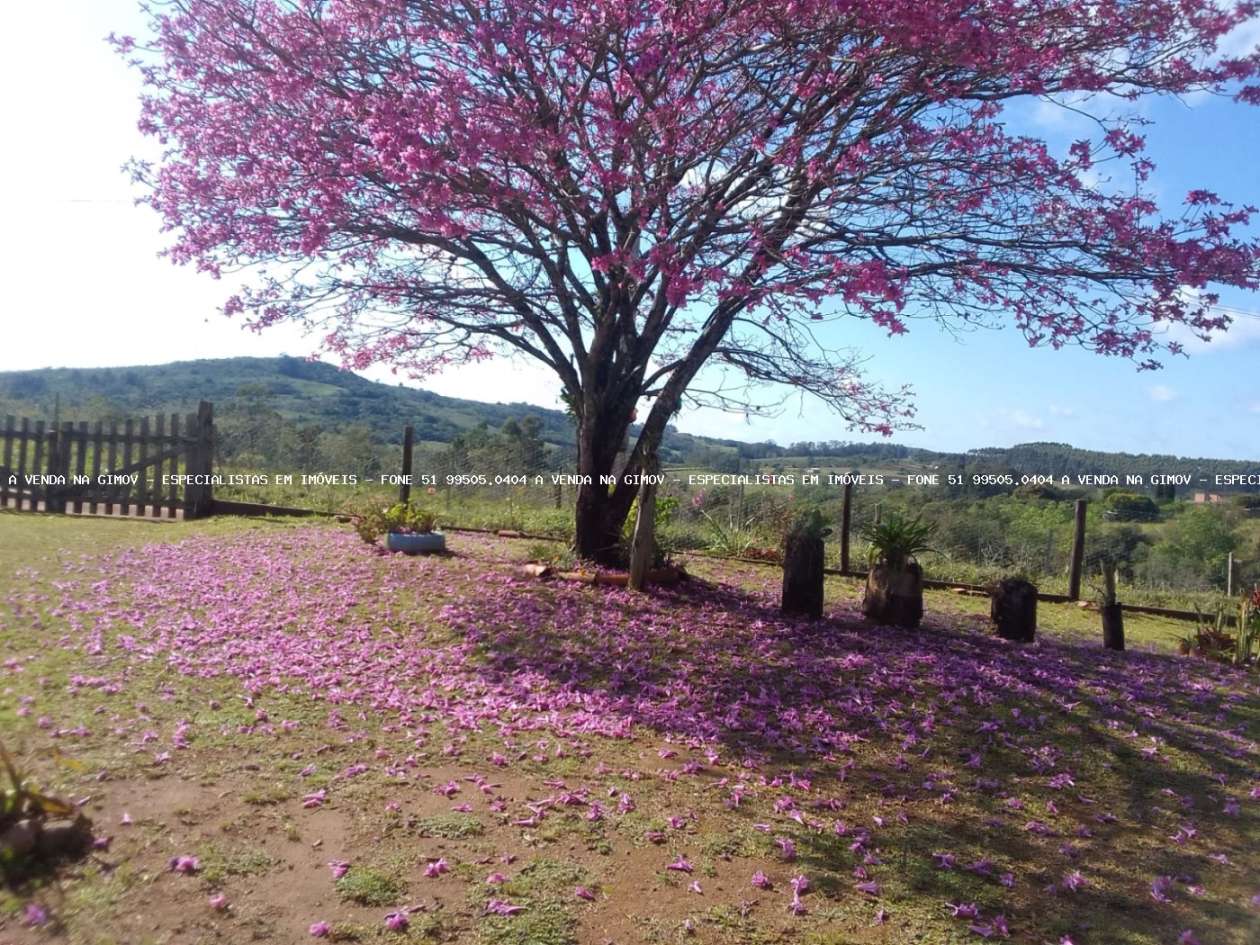 Sítio, 3 quartos, 5000 m² - Foto 3