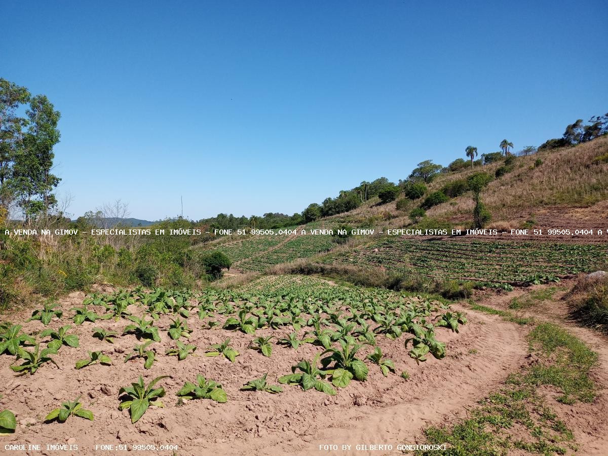 Loteamento e Condomínio, 16 hectares - Foto 4