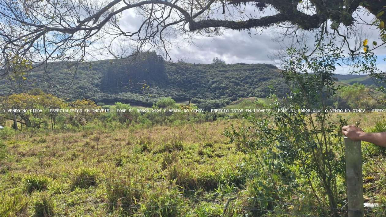 Sítio, 2 quartos, 2 hectares - Foto 1