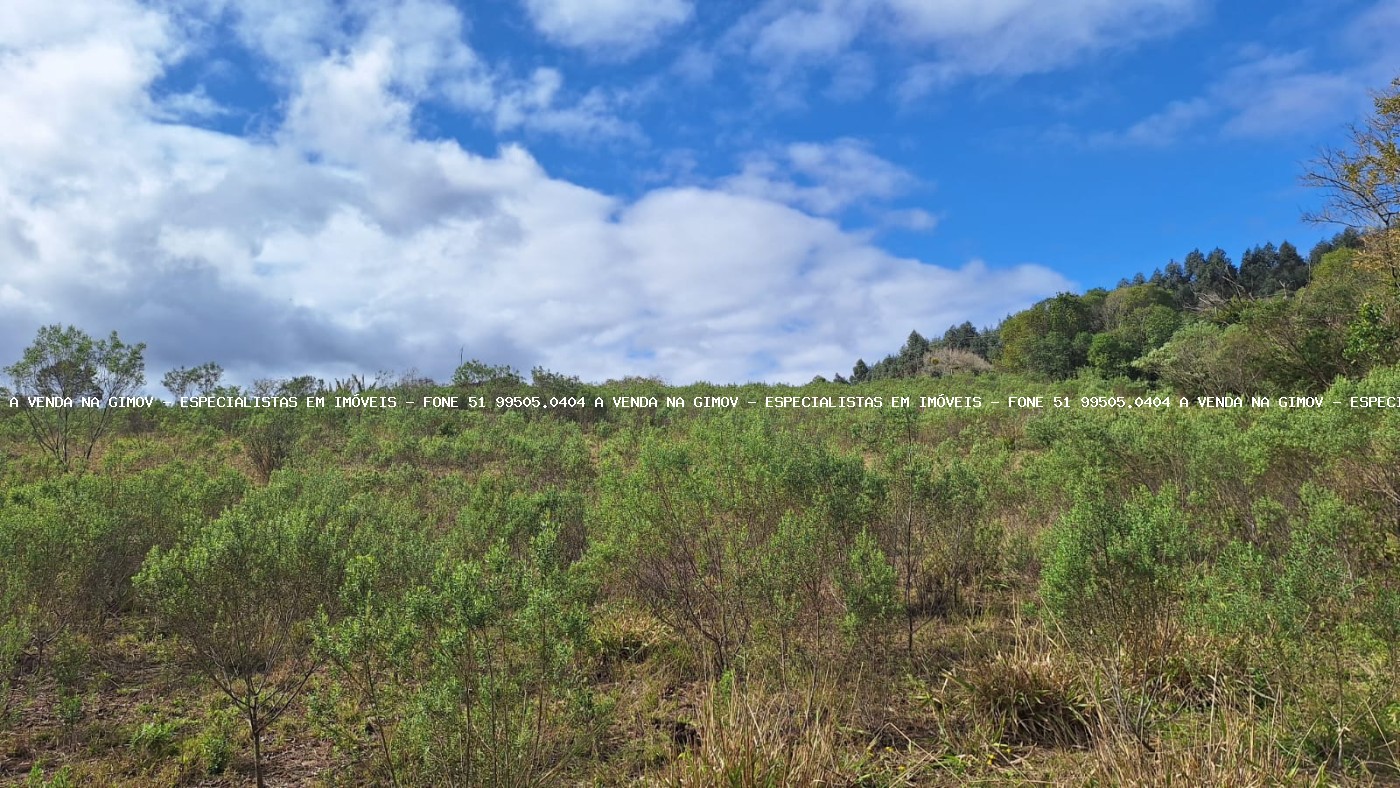 Sítio, 2 quartos, 2 hectares - Foto 2