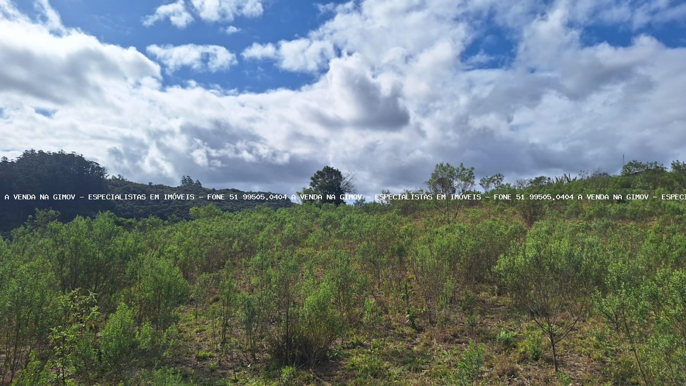 Sítio, 2 quartos, 2 hectares - Foto 6