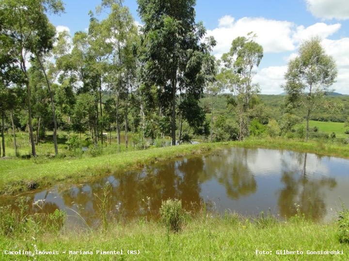 Sítio, 3 quartos, 20 hectares - Foto 1