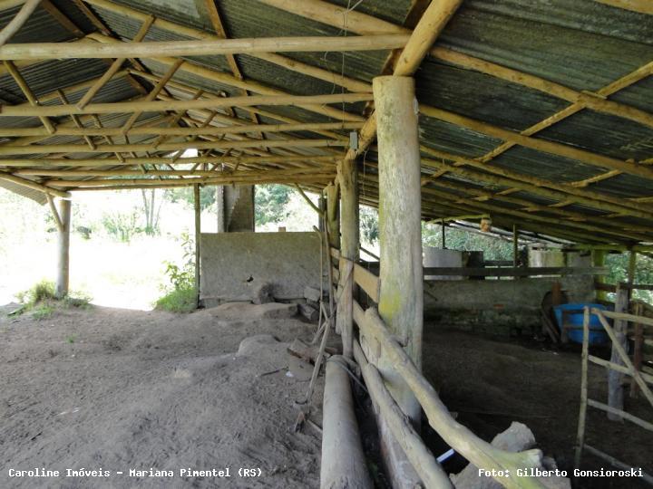 Sítio, 3 quartos, 20 hectares - Foto 31