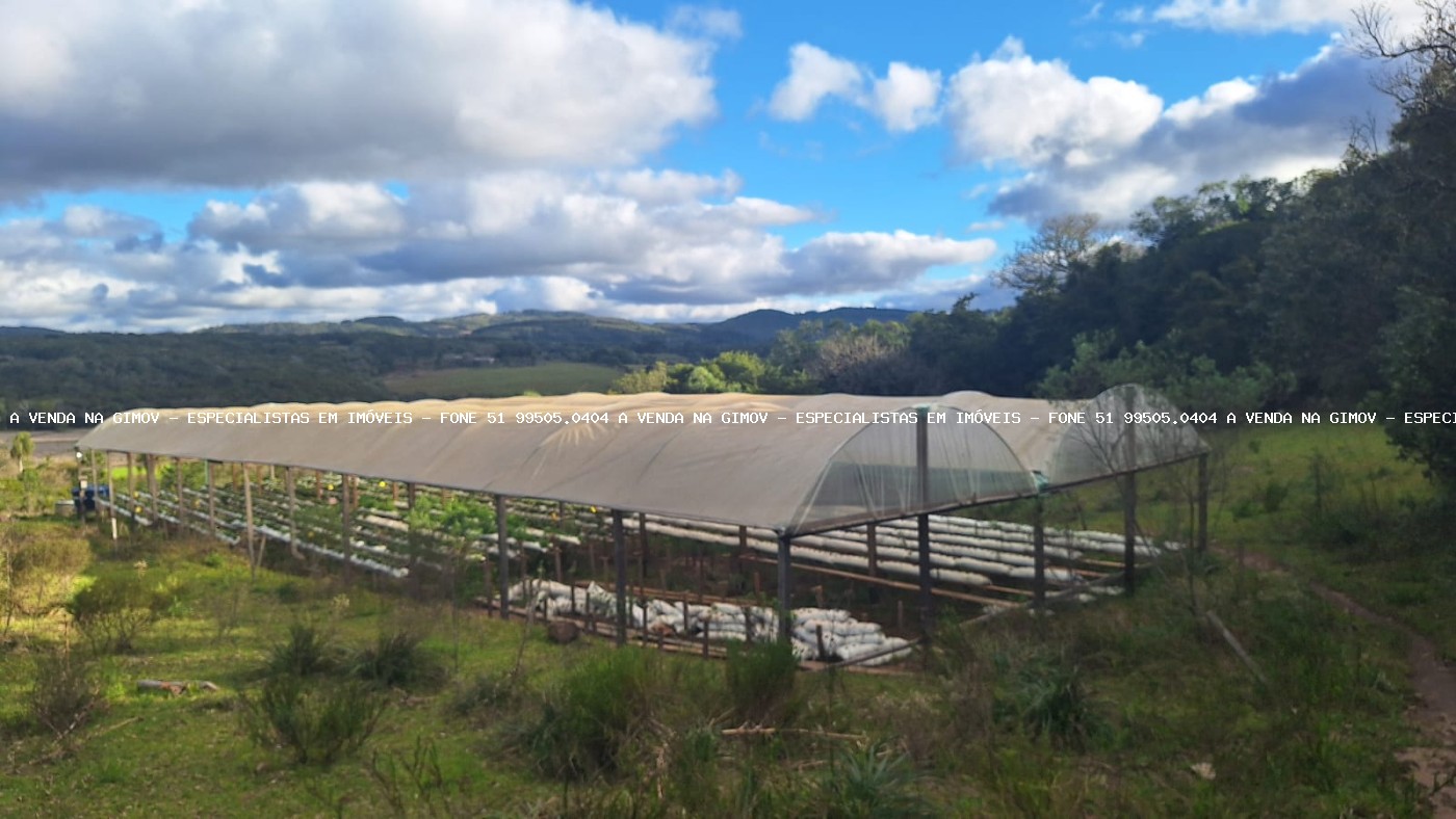 Sítio, 3 quartos, 20 hectares - Foto 24