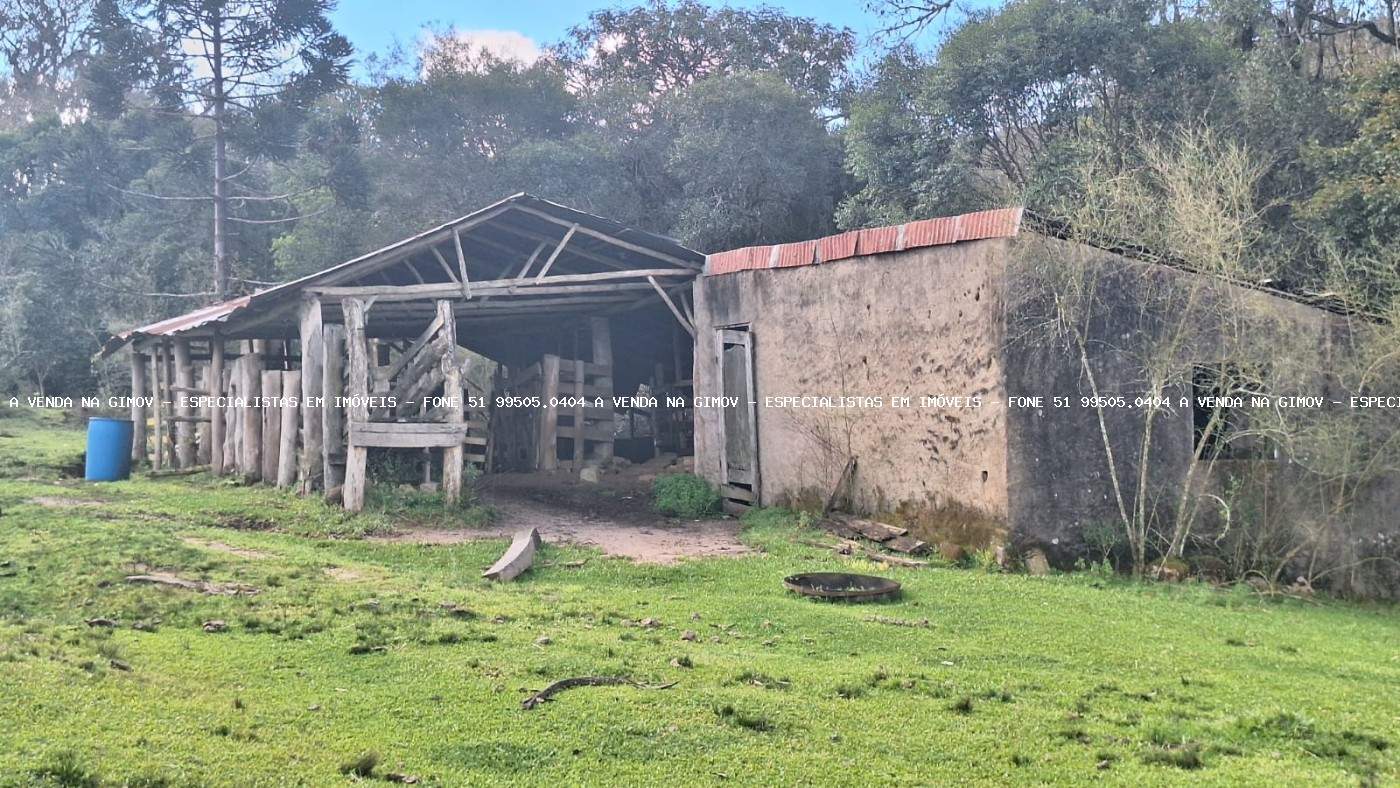 Sítio, 3 quartos, 20 hectares - Foto 30