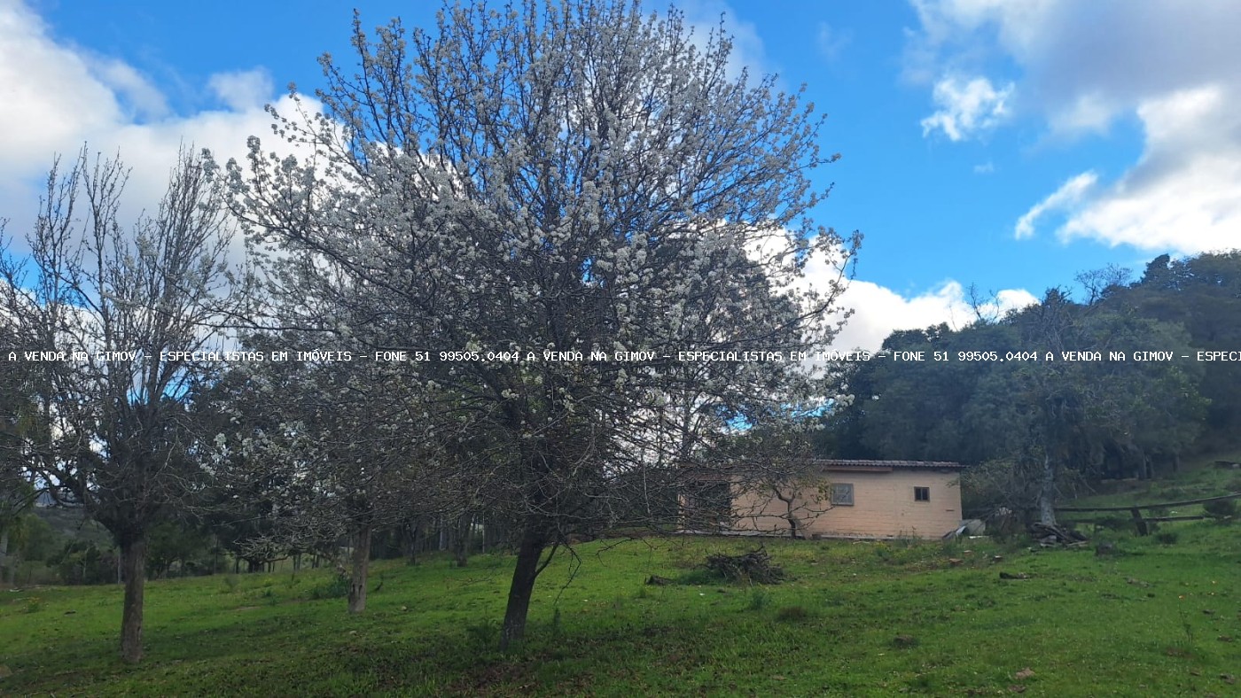 Sítio, 3 quartos, 20 hectares - Foto 12