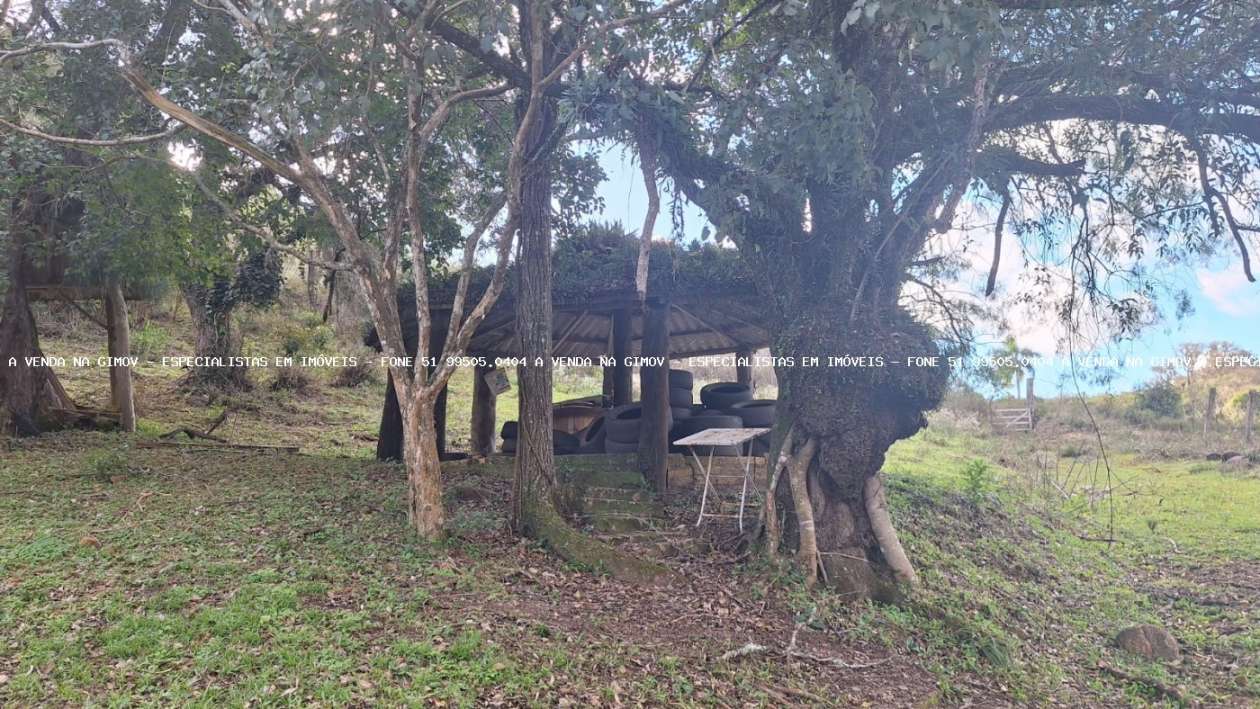 Sítio, 3 quartos, 20 hectares - Foto 14