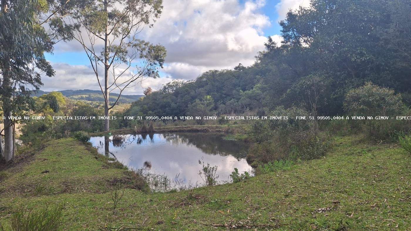 Sítio, 3 quartos, 20 hectares - Foto 23