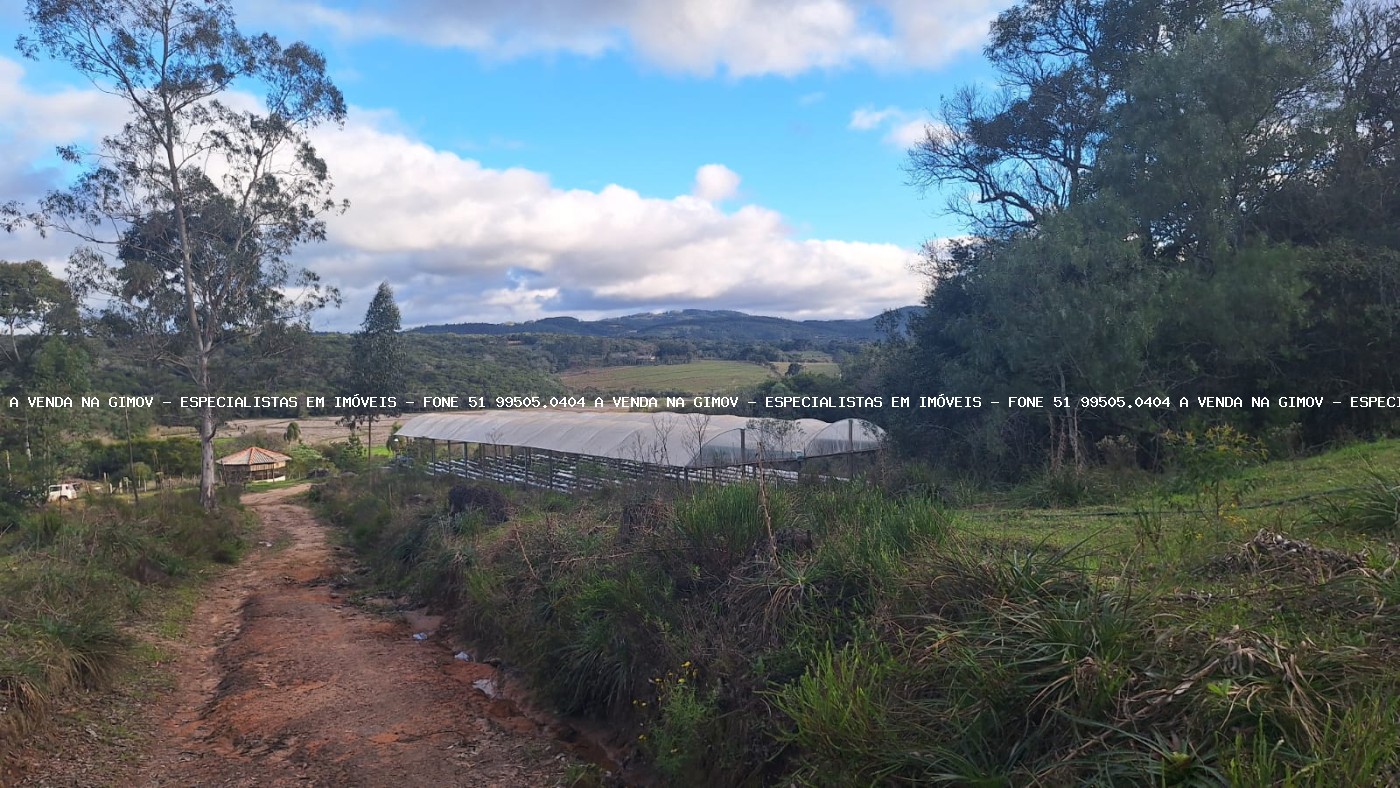 Sítio, 3 quartos, 20 hectares - Foto 25