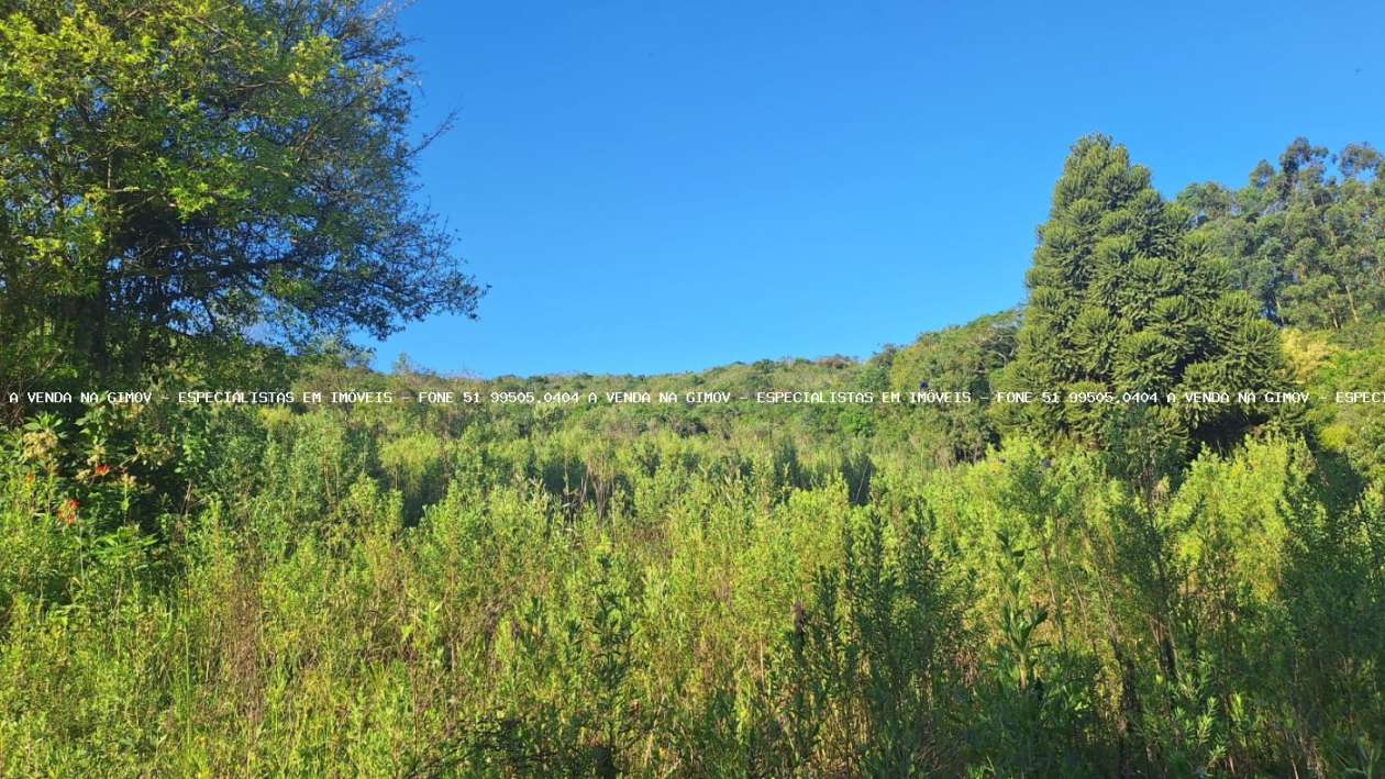 Loteamento e Condomínio, 8 hectares - Foto 16