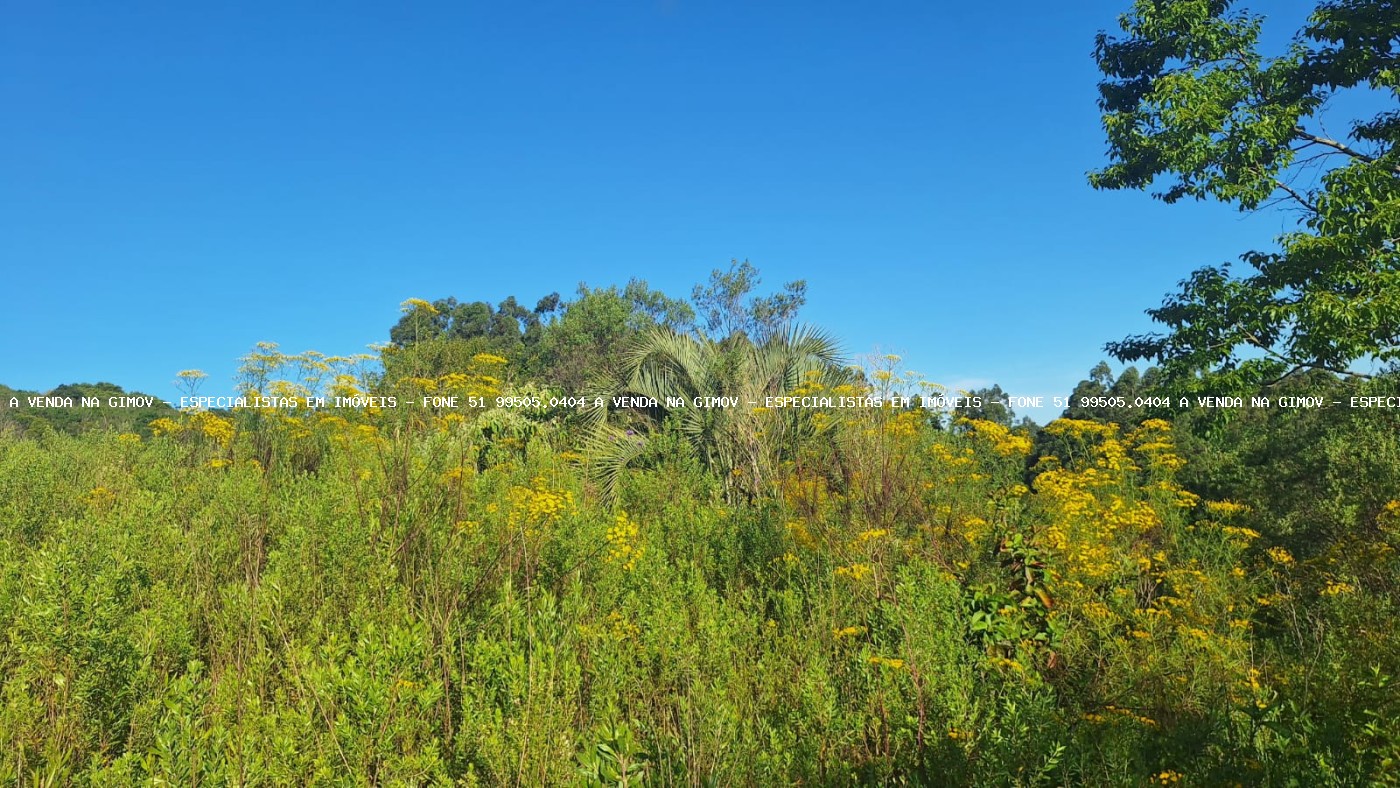 Loteamento e Condomínio, 8 hectares - Foto 19