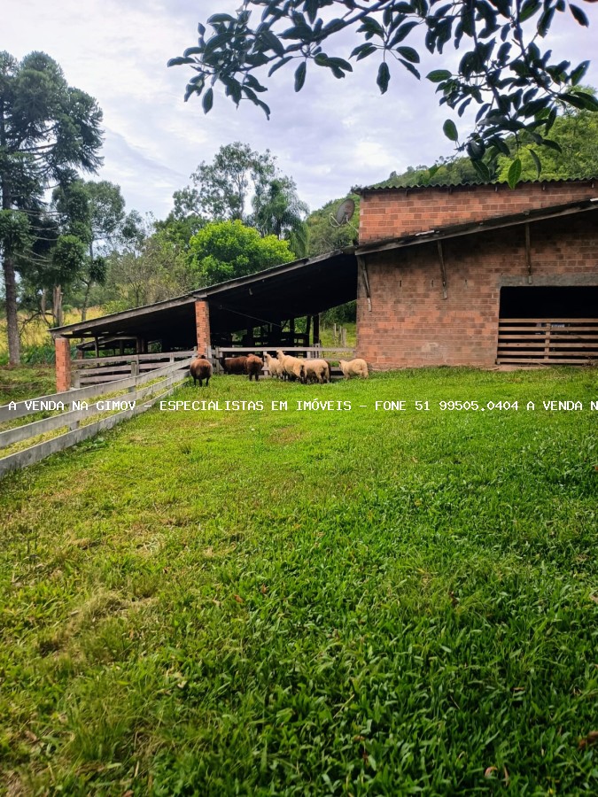 Sítio, 20 m² - Foto 9