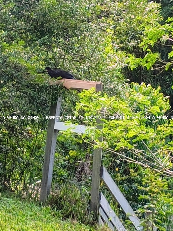 Sítio, 20 m² - Foto 25