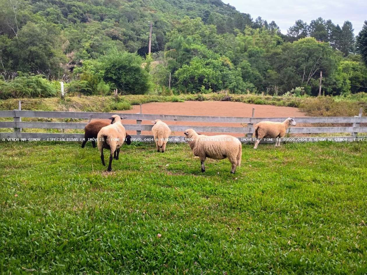 Sítio, 20 m² - Foto 12