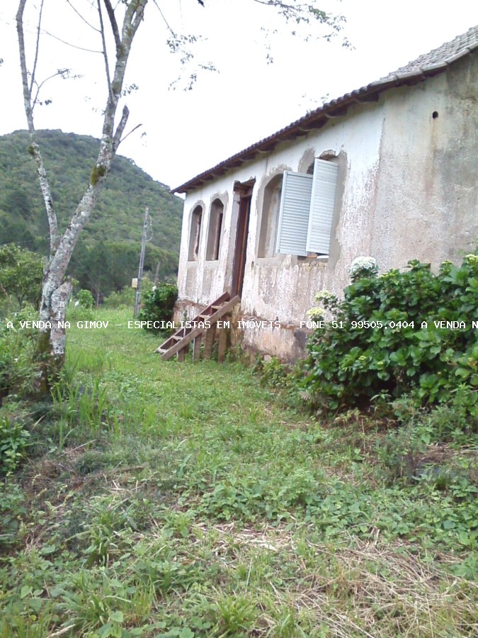 Sítio, 20 m² - Foto 3