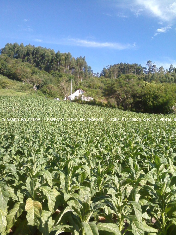 Sítio, 20 m² - Foto 13