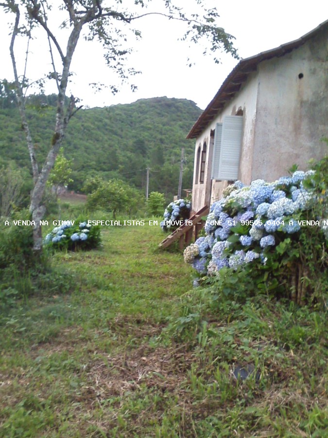 Sítio, 20 m² - Foto 2