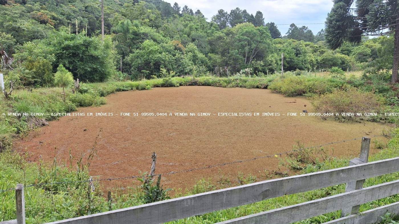 Sítio, 20 m² - Foto 11