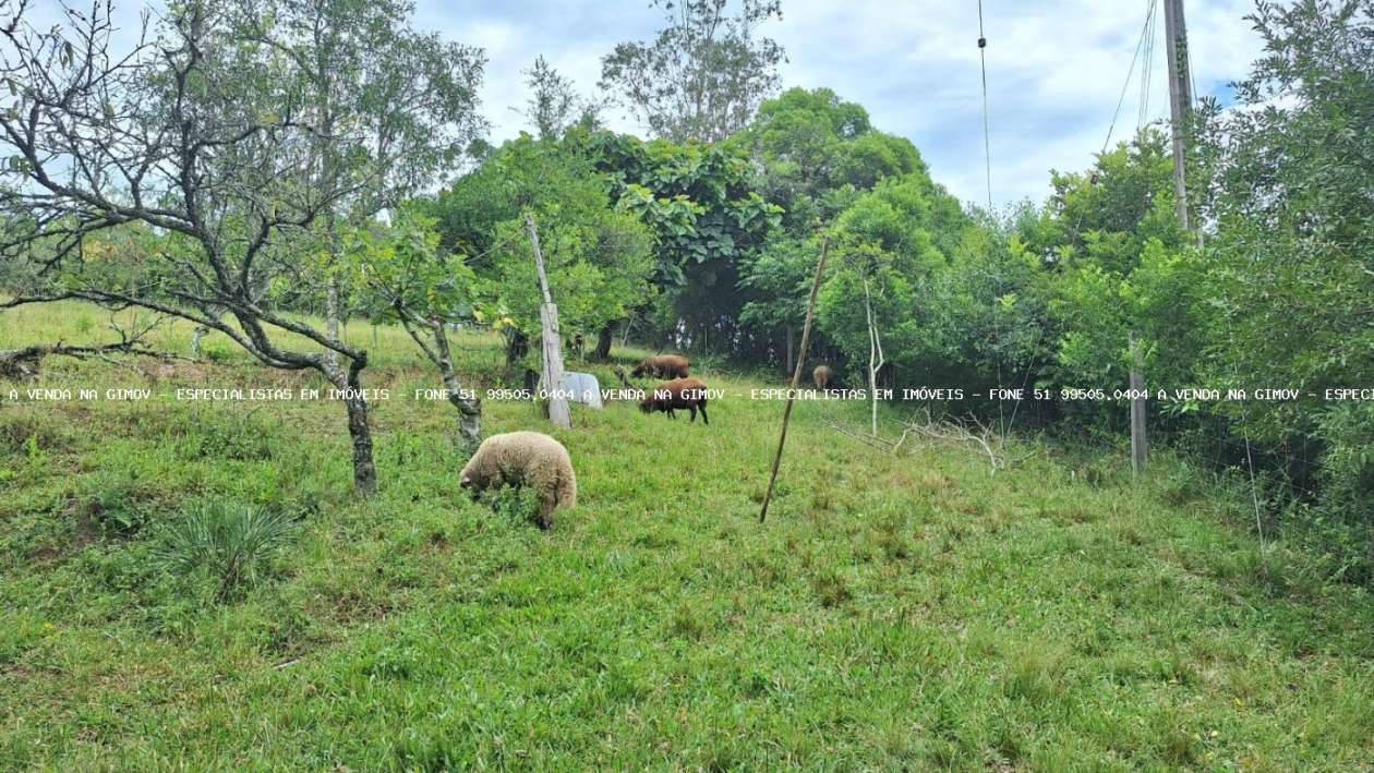 Sítio, 20 m² - Foto 14