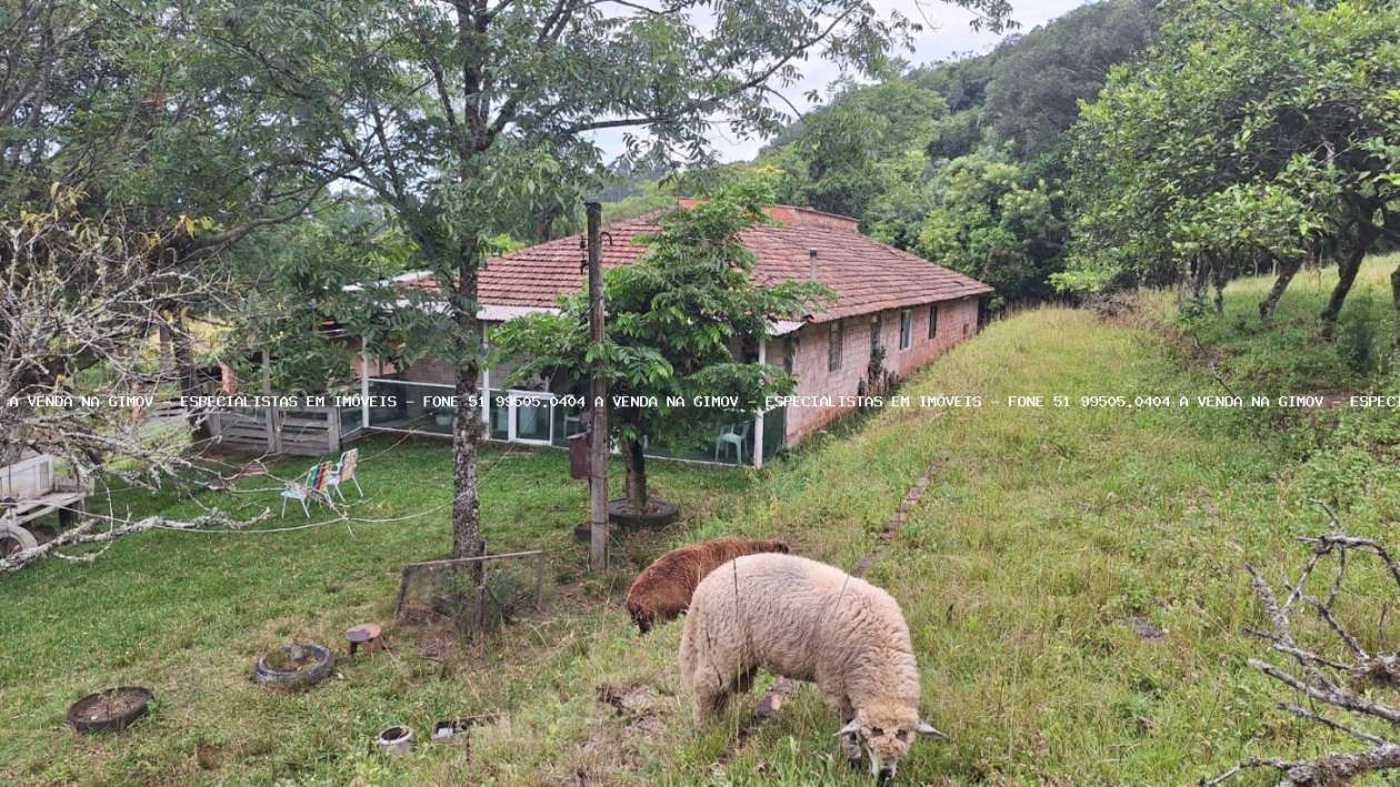 Sítio, 20 m² - Foto 7