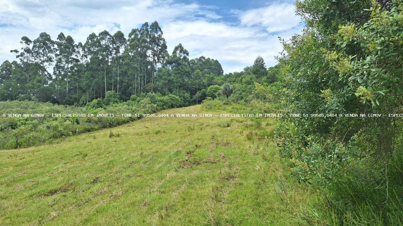 Sítio, 20 m² - Foto 20