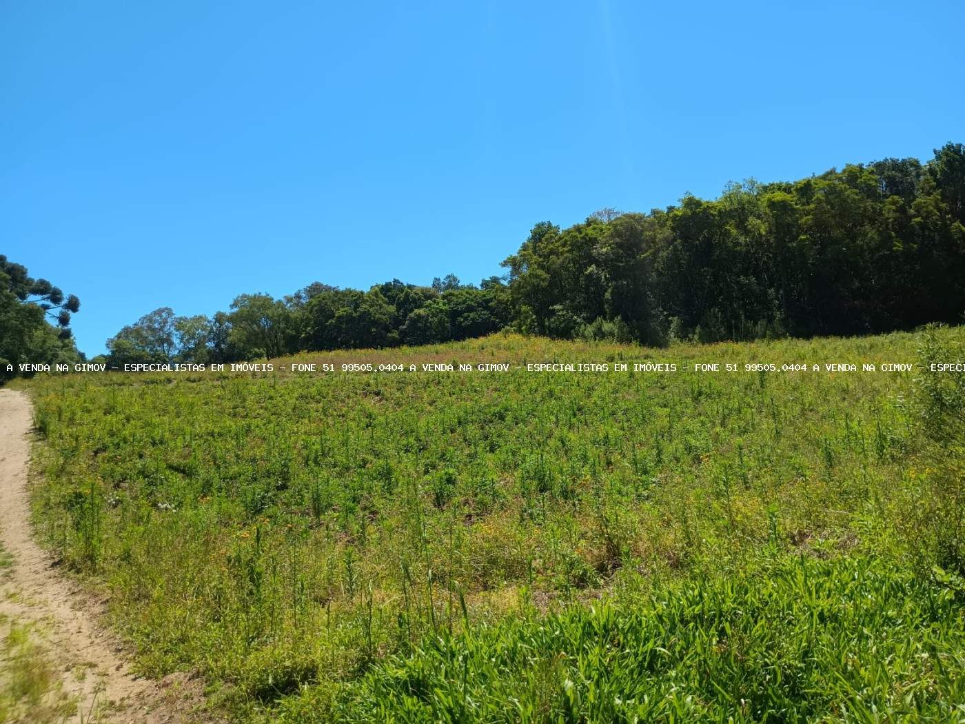 Sítio, 9 m² - Foto 11