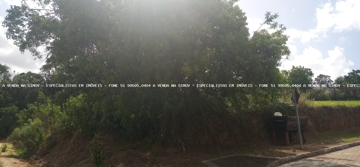 Terreno, 350 m² - Foto 6