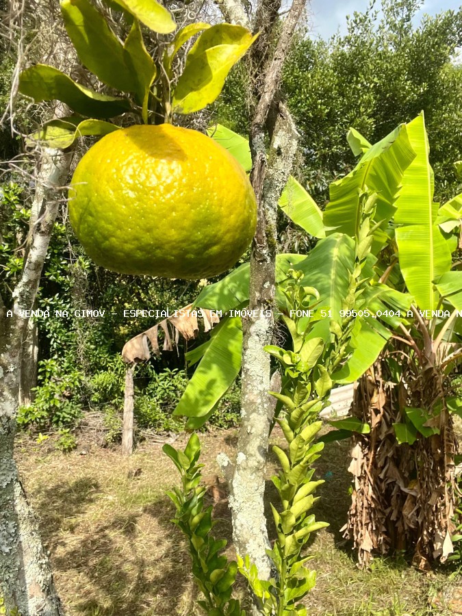 Sítio, 2 quartos, 1600 m² - Foto 13