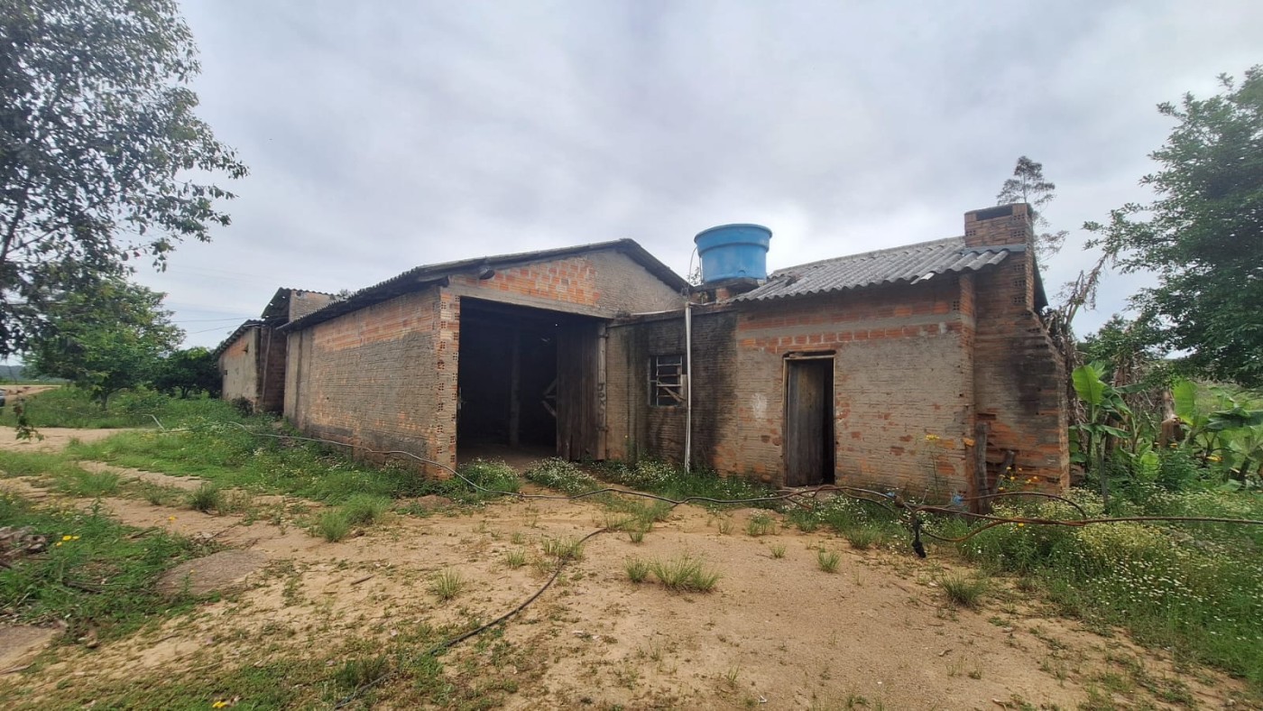 Fazenda, 3 hectares - Foto 4