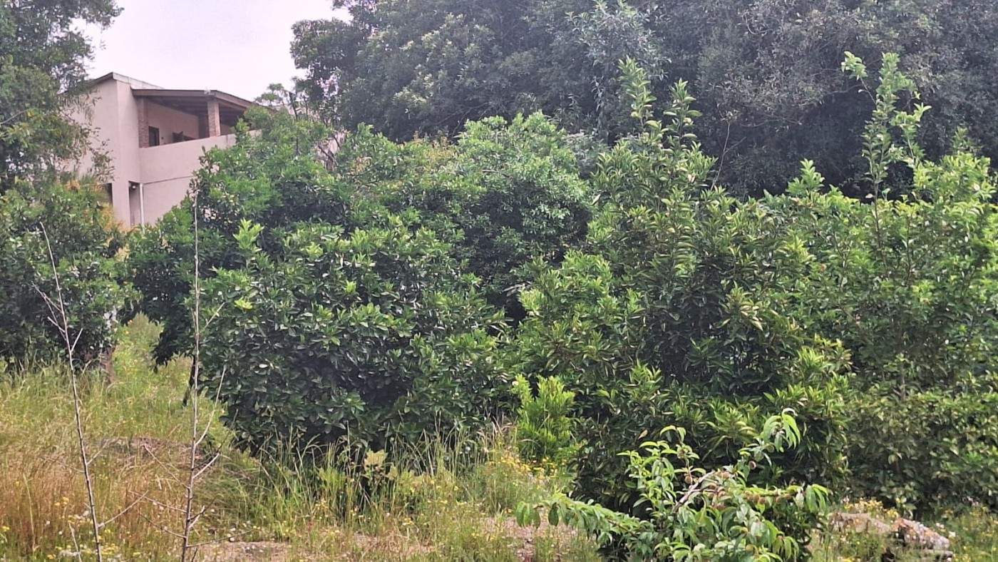 Fazenda, 3 hectares - Foto 38