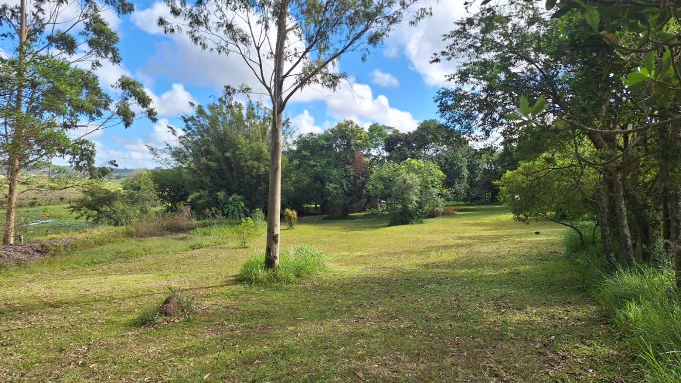 Fazenda, 1 m² - Foto 28