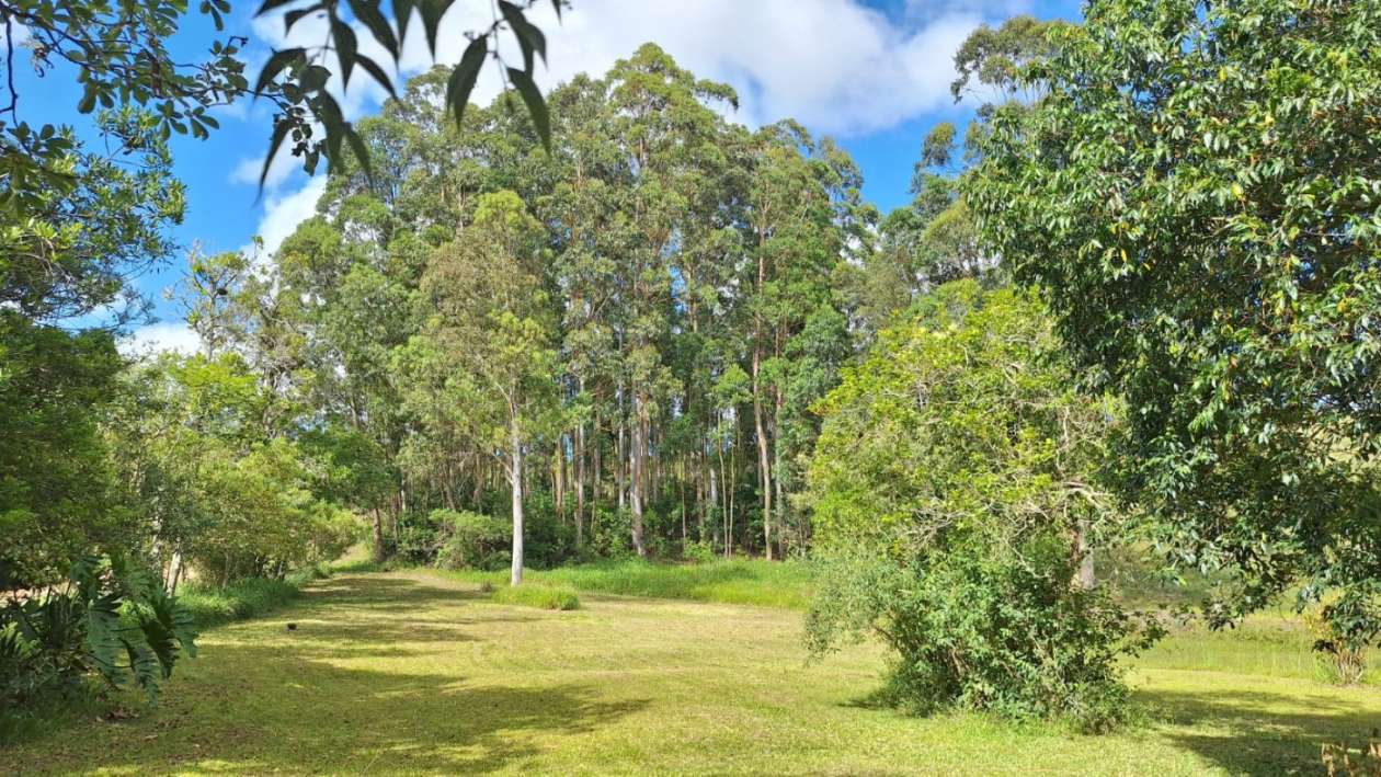 Fazenda, 1 m² - Foto 29